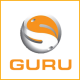 Guru Punch Box